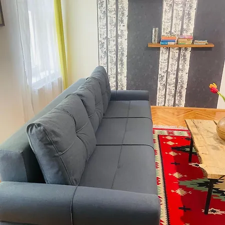 Spacious Stylish Apartment In Old Town Sibiu Exterior photo