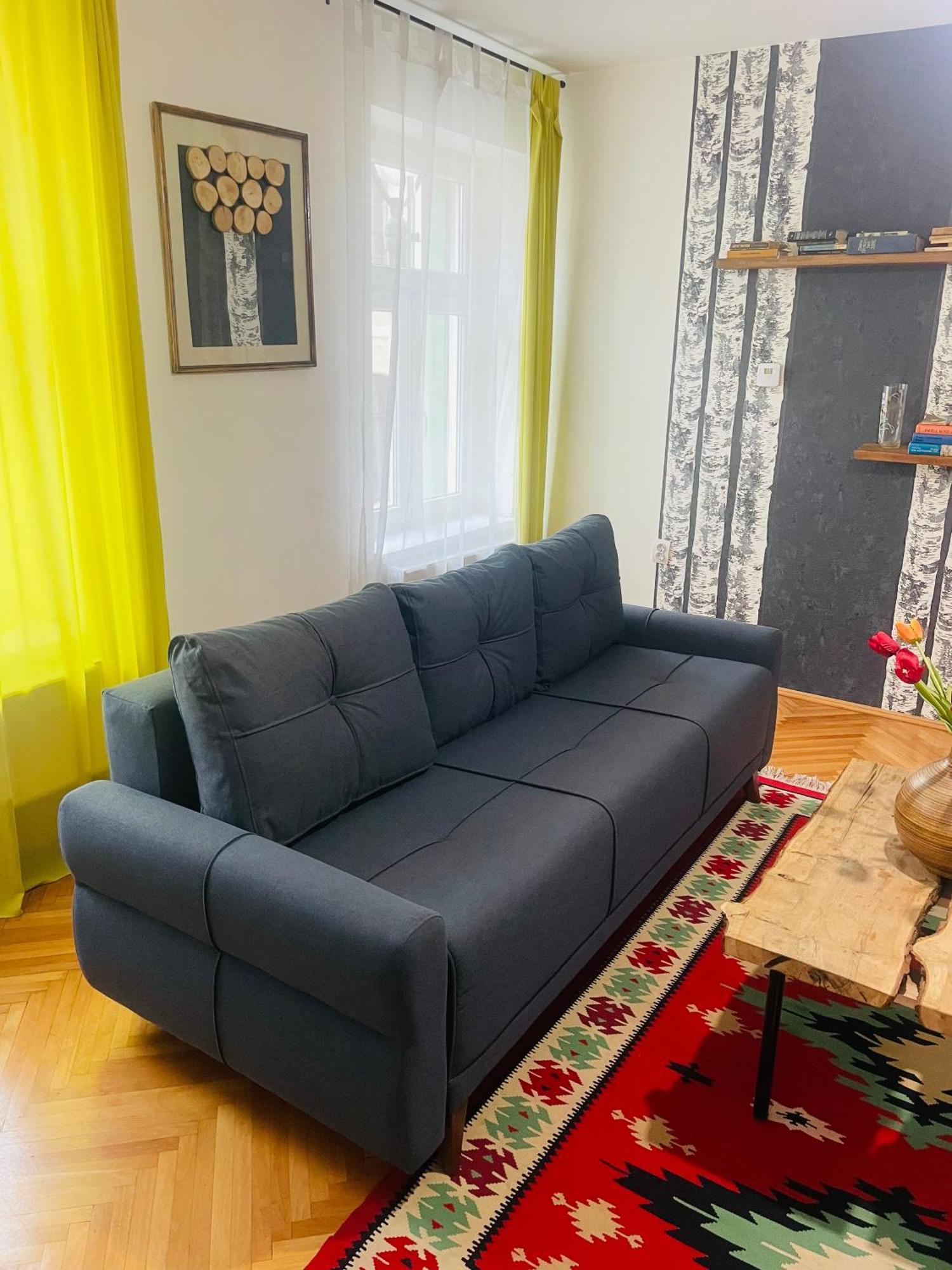 Apartment Spacious Stylish In Old Town Sibiu